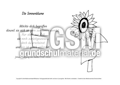 M-Die-Sonnenblume-Goethe.pdf